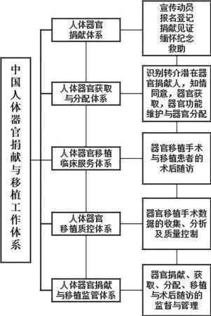 2018年中国器官捐献位居世界第二 移植质量不断提升