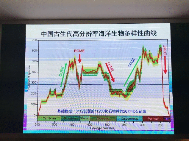 3亿多年前，全球气候变冷但生物多样性却大幅增加