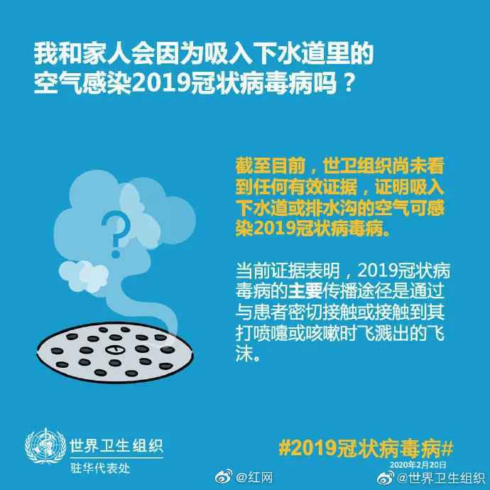 新冠病毒可通过蚊子、下水道空气传播？世卫组织回应