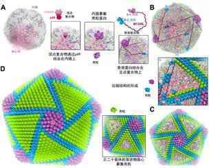 2019年度中国科学十大进展揭晓，“量子”研究占据两席