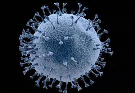 人口密集 医疗系统不完善 印媒:新冠病毒对印度而言似乎更危险