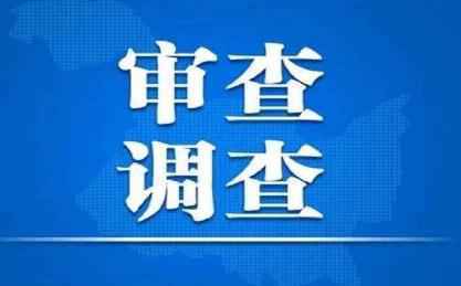 湖南湘潭市委政法委副书记陈震龙接受审查调查(简历)