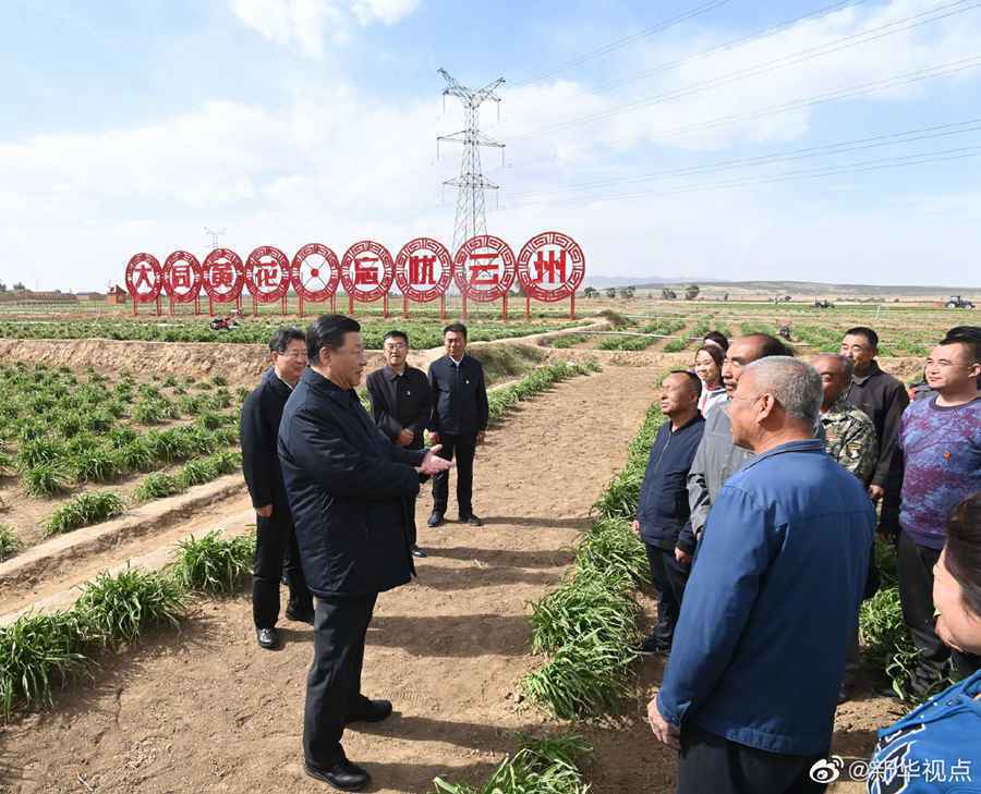 习近平：让黄花成为群众脱贫致富的“摇钱草”