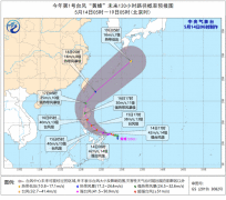 2020年1号台风黄蜂最新消息 台风路径实时发布系统卫星云图