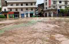 重庆28个区县出现暴雨 多条河流超保证水位