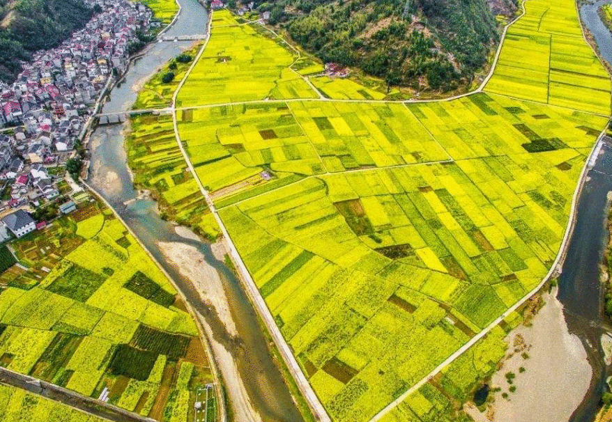 国务院办公厅印发《自然资源领域中央与地方财政事权和支出责任划分改革方案》