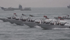 客机遭美战机侵扰之后 伊朗打算“击沉美国航母” 客机遭美战机侵扰之后 伊朗打算“击沉美国航母”