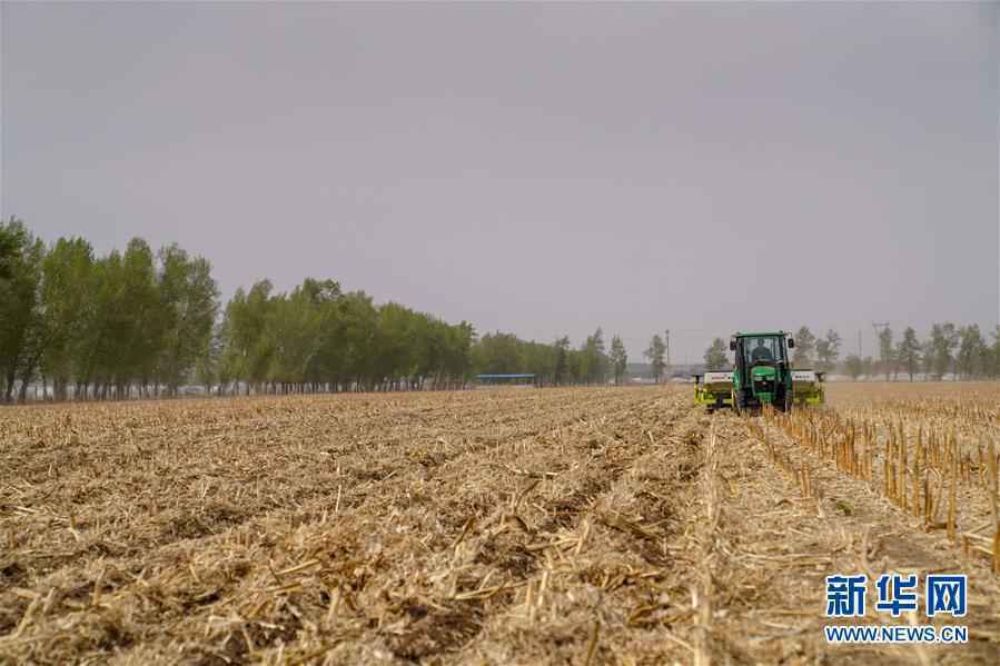 习近平总书记关切事丨为黑土加“油”——“耕地中的大熊猫”，我们这样保护