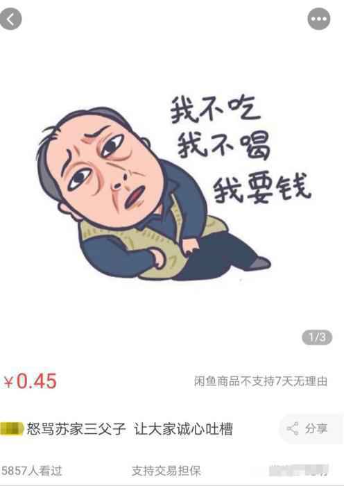 怒骂苏家三父子网店截图