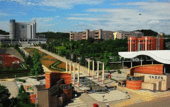 四川省川北医学院一男生偷麻药给女友吸食致其死亡真的假的 四川省川北医学院一男生偷麻药给女友吸食致其死亡真的假的