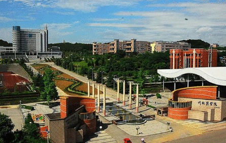 四川省川北医学院一男生偷麻药给女友吸食致其死亡真的假的