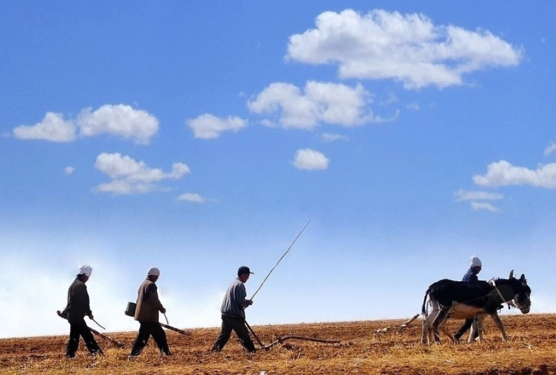 用卫星帮农民种地——长春农博会智慧农业见闻