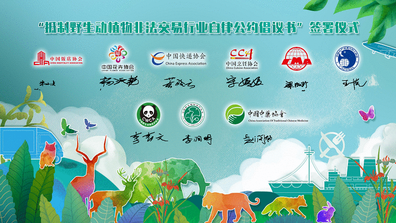 2020年中国野生动植物保护十件大事揭晓