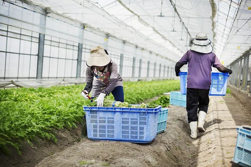 第二次消费平权浪潮，仍然从农业开始