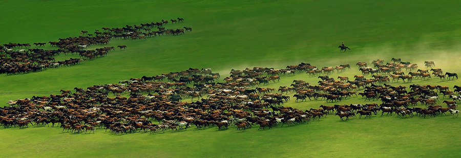 内蒙古自治区文化和旅游厅向国内外游客推出36条非遗特色旅游线路